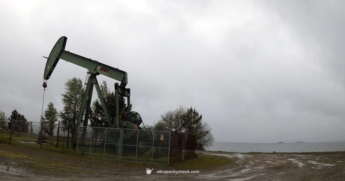 Oil Change Basics Oil Change Basics - Oil Capacity Check