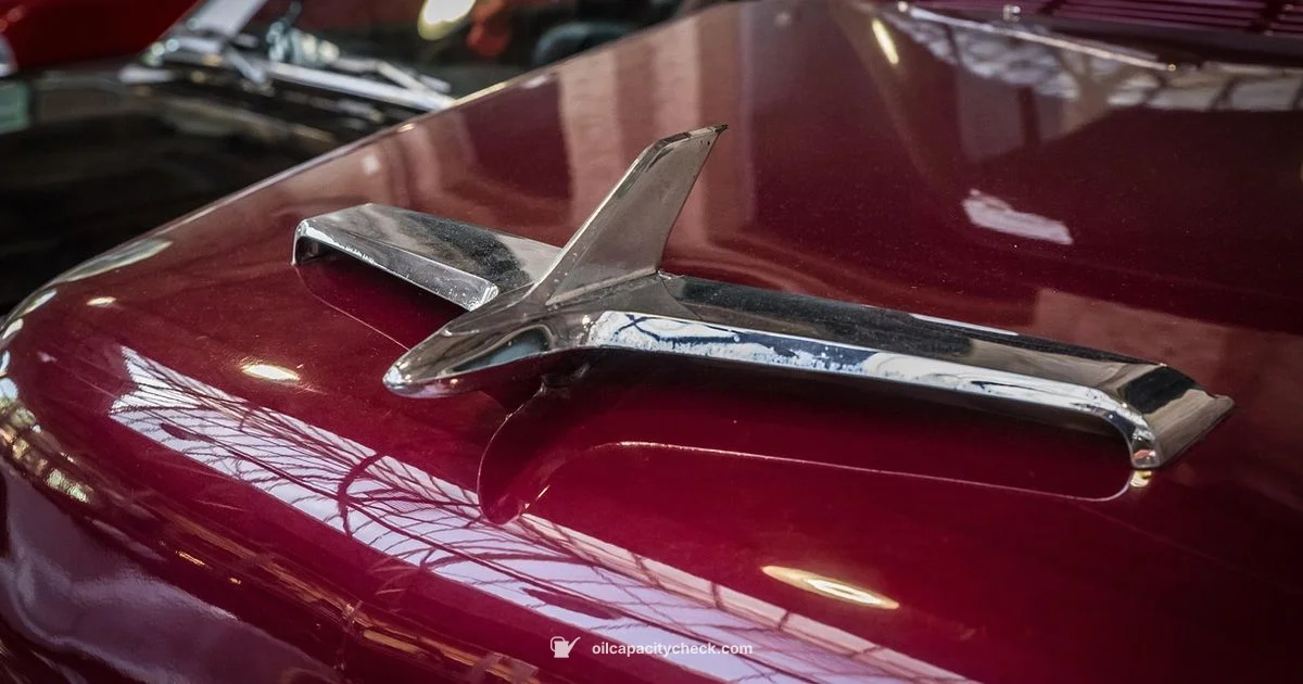 Equinox Oil Capacity - Oil Capacity Check