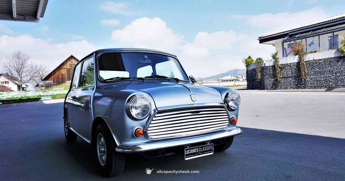 Oil Capacity - Oil Capacity Check