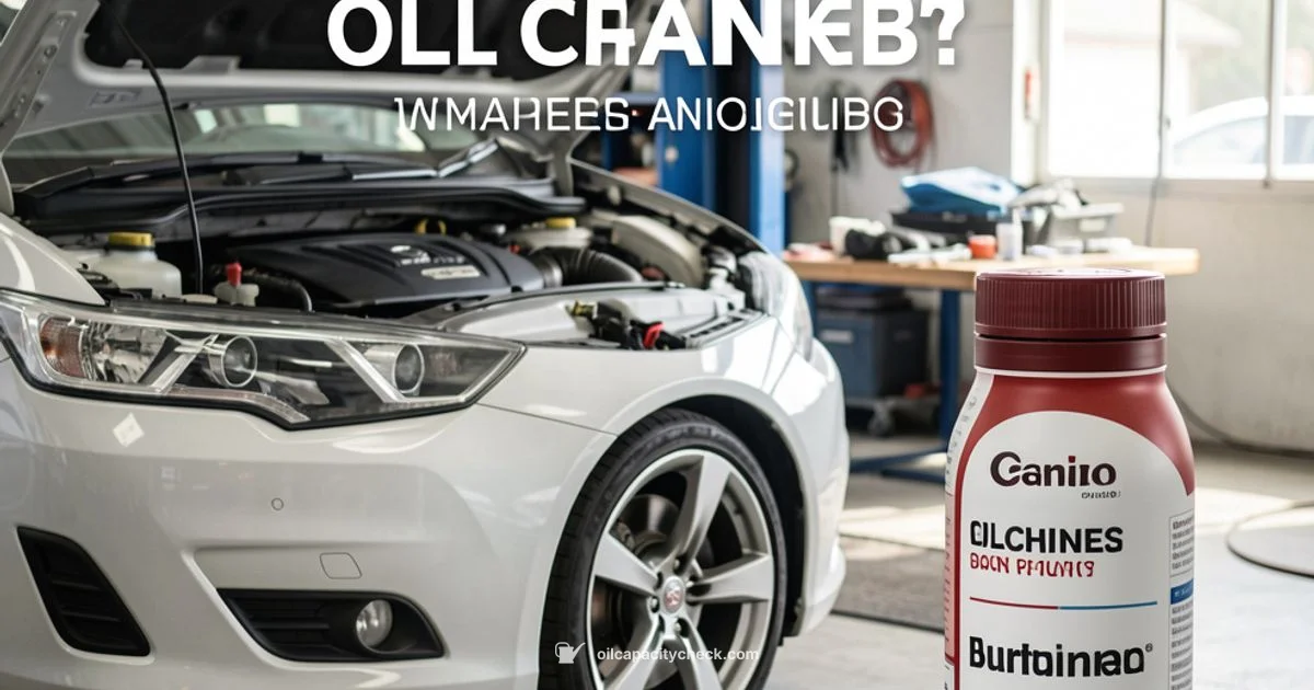 Oil Change Basics - Oil Capacity Check