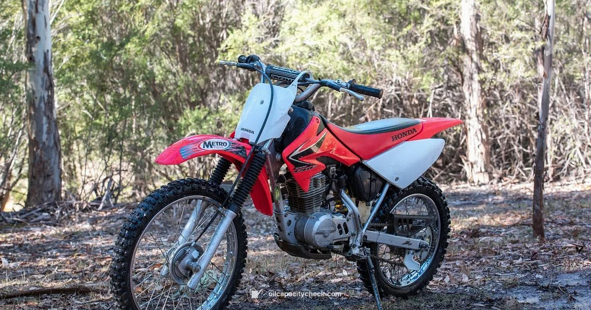 CRF50 Oil Guide - Oil Capacity Check
