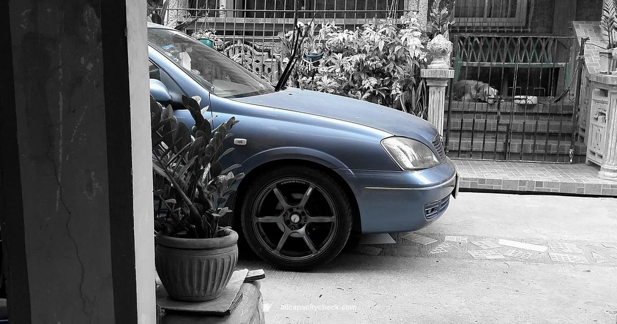 Sentra Oil Capacity - Oil Capacity Check