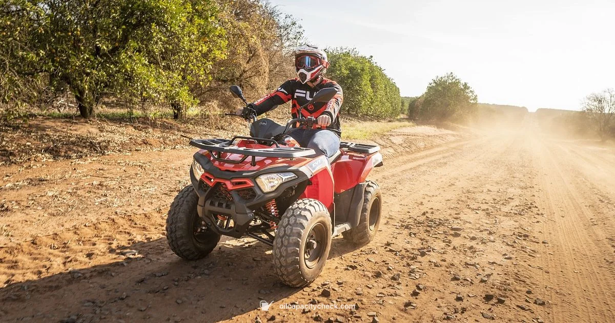 Honda Recon 250 Oil Capacity - Oil Capacity Check