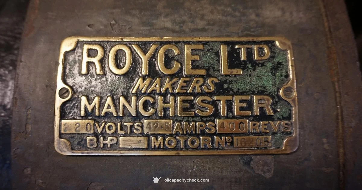 Oil Change Types Guide - Oil Capacity Check