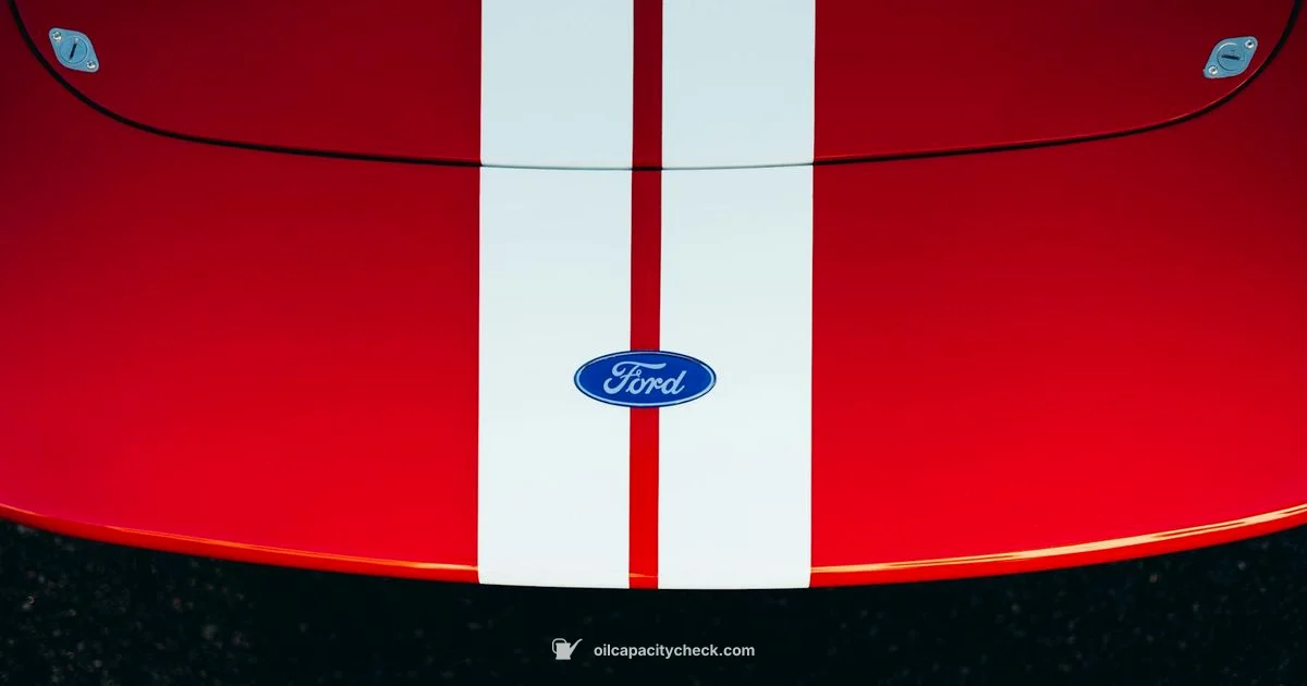 Edge Oil Capacity - Oil Capacity Check