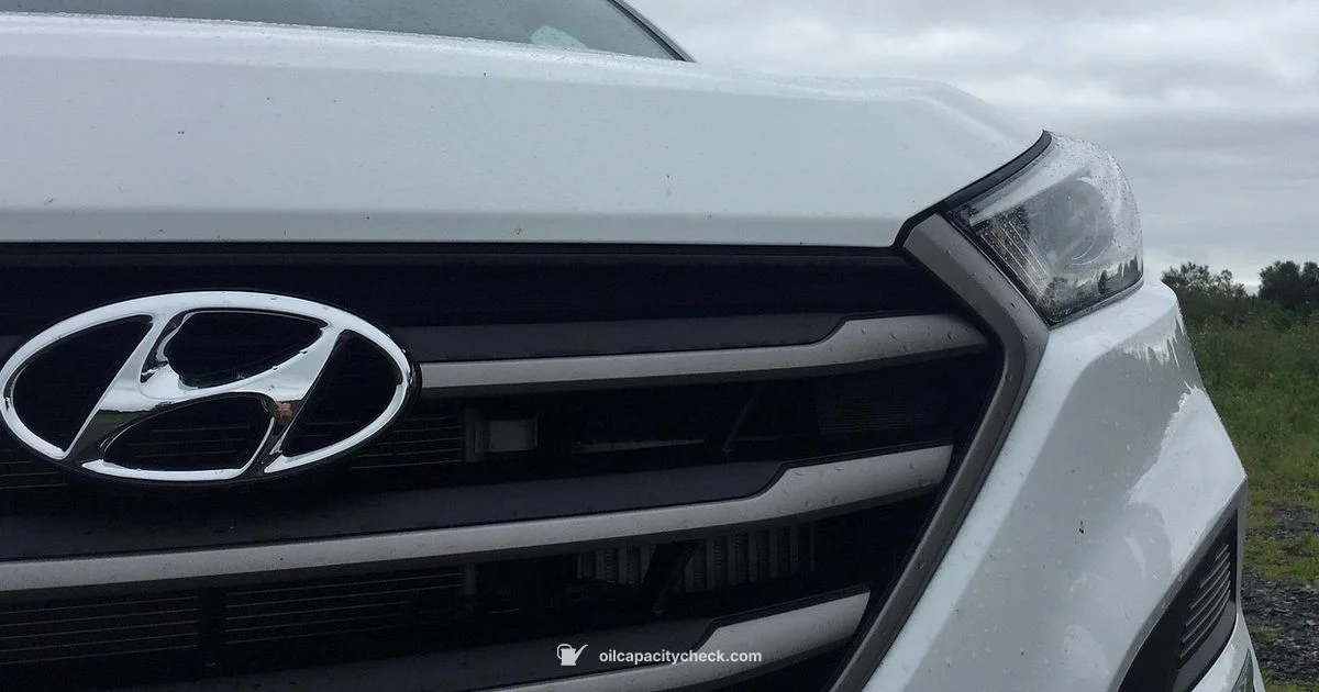 Oil Filter Guide - Oil Capacity Check