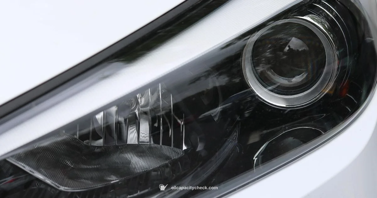 Xenon Oil Capacity - Oil Capacity Check