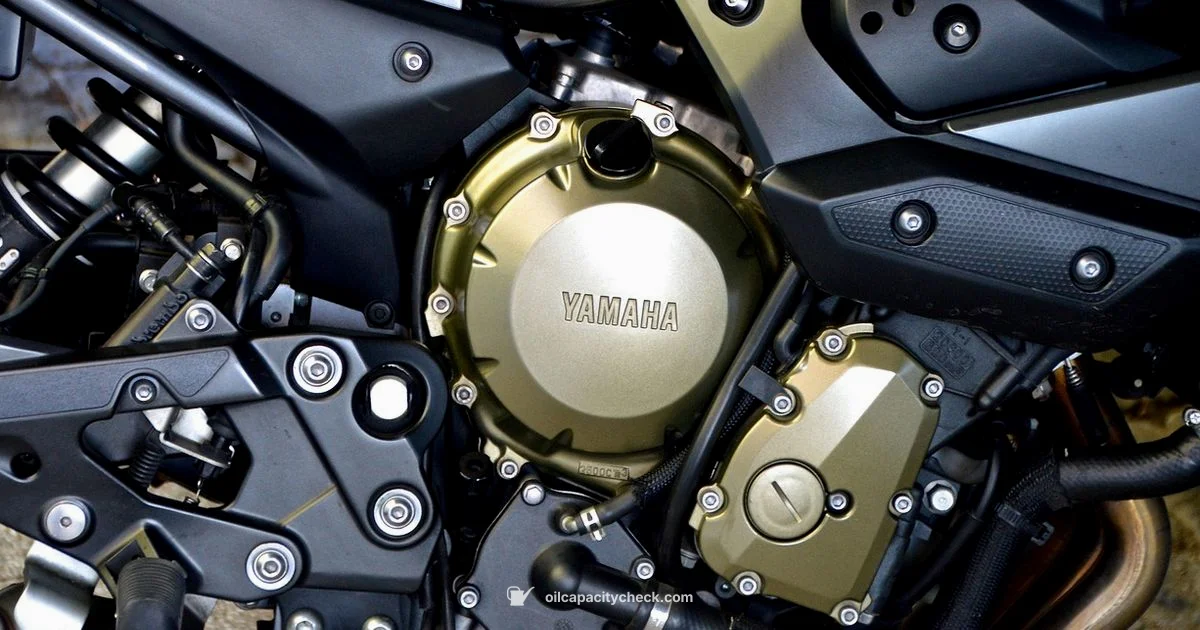 ATV Oil Guide - Oil Capacity Check