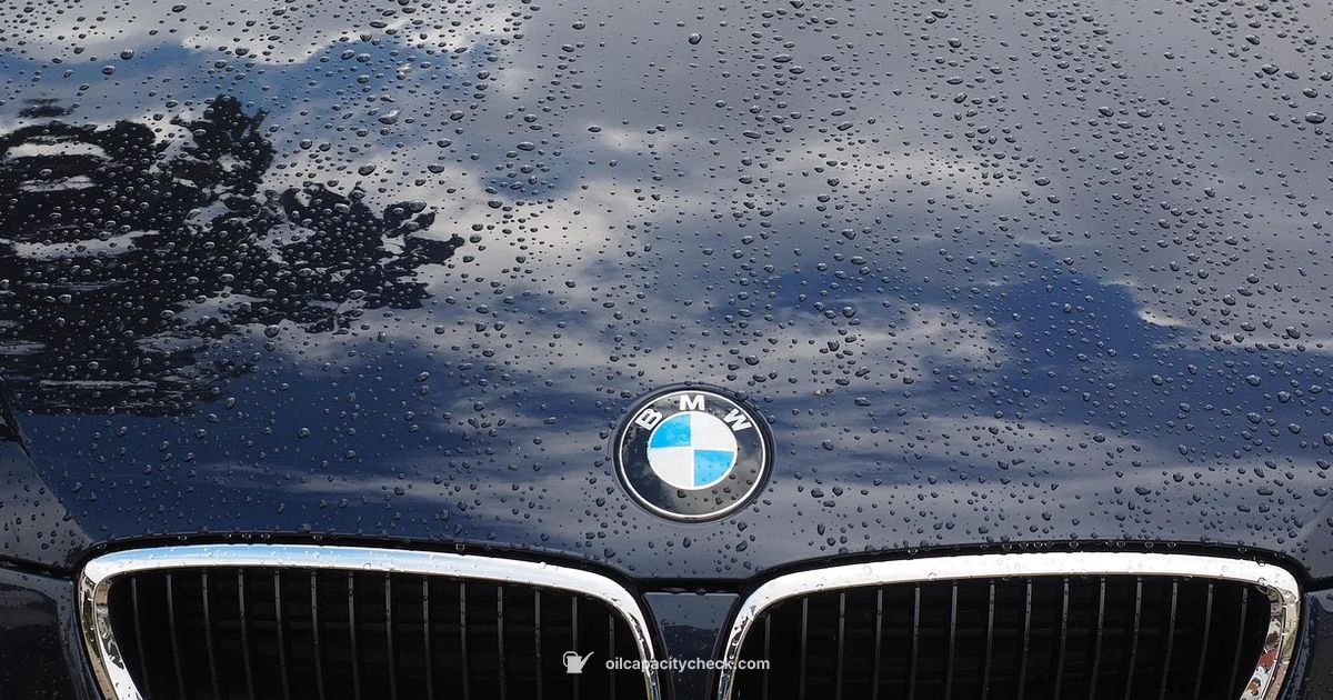 BMW Oil Change Interval - Oil Capacity Check