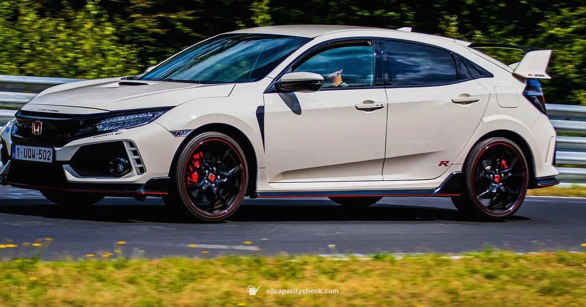 Oil Capacity Basics - Oil Capacity Check