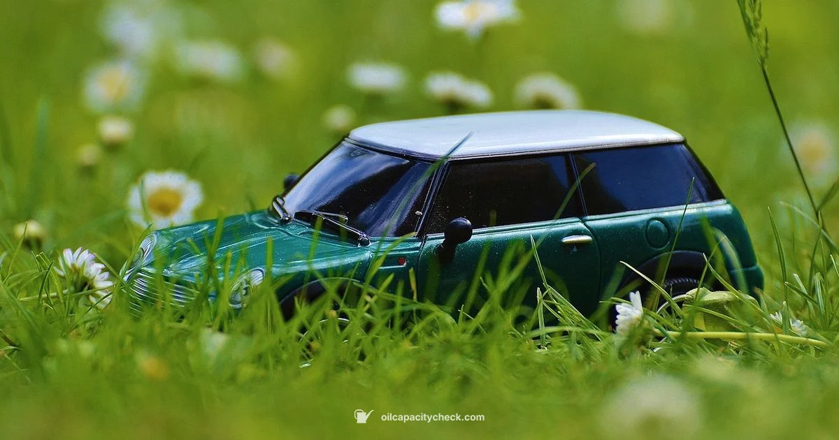 Mini Cooper Oil Change - Oil Capacity Check