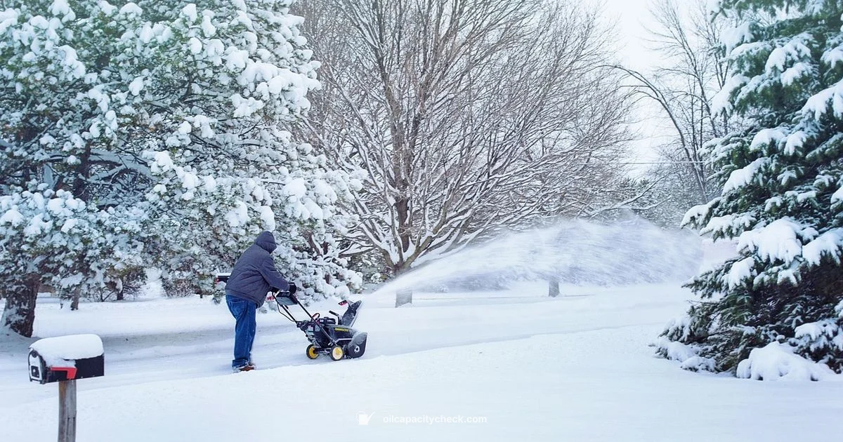 Ariens Deluxe 24 Oil Capacity - Oil Capacity Check