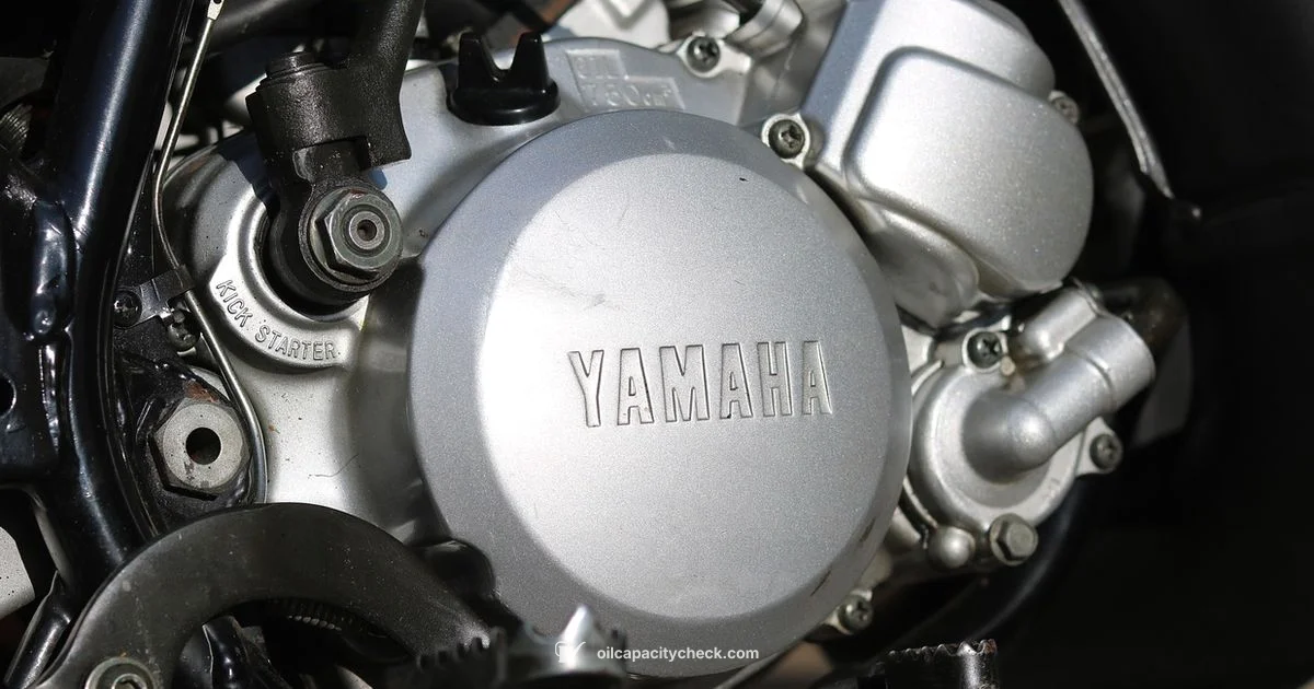 Oil Filter Size Essentials - Oil Capacity Check