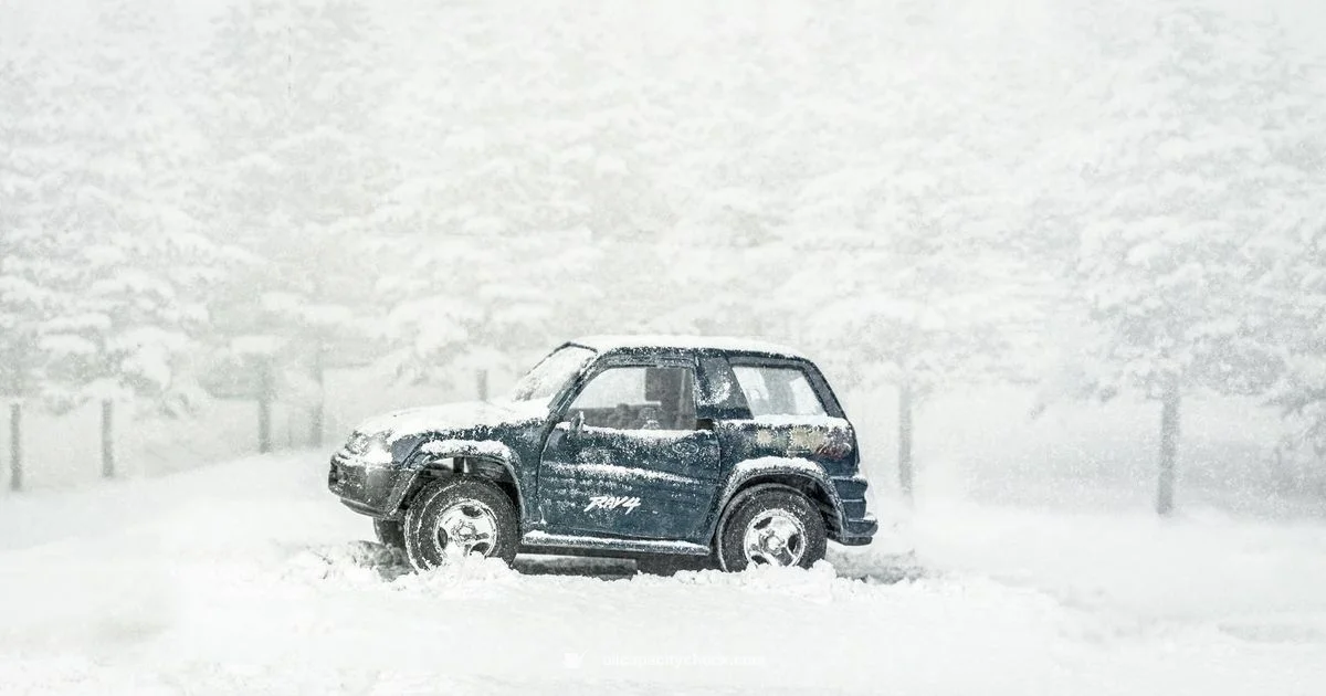 Oil Capacity Guide Oil Capacity Guide - Oil Capacity Check