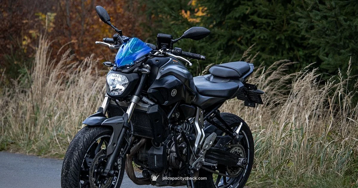 MT-09 Oil Guide - Oil Capacity Check