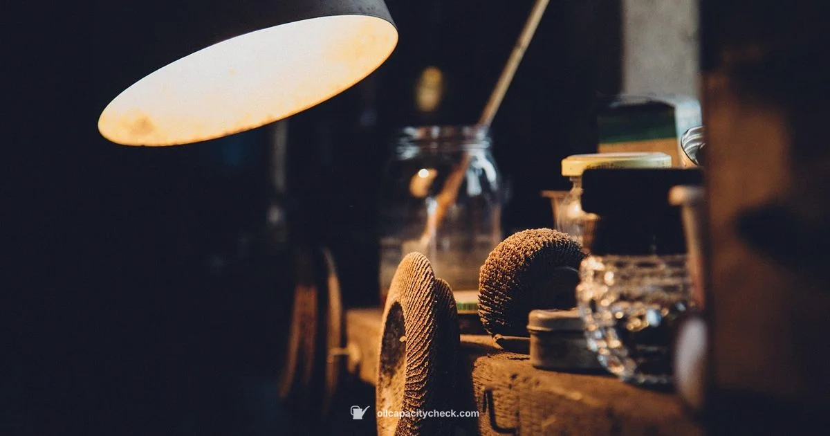 Fork Oil Capacity - Oil Capacity Check