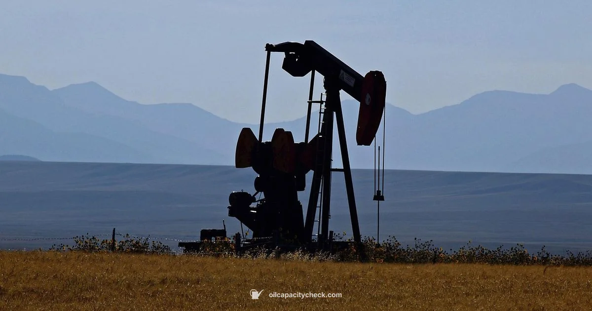 Pump Oil Change - Oil Capacity Check