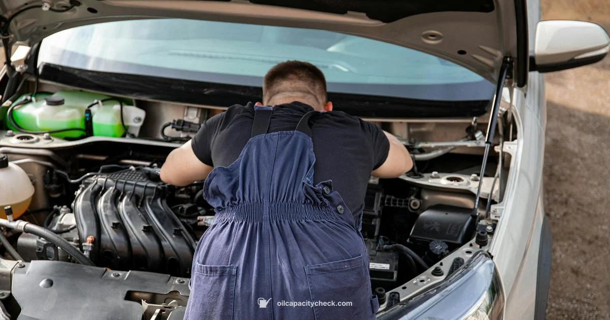 Oil Capacity Basics - Oil Capacity Check