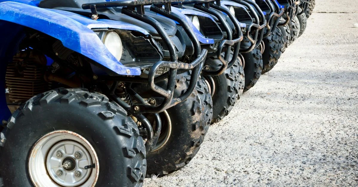 Grizzly 660 Oil - Oil Capacity Check