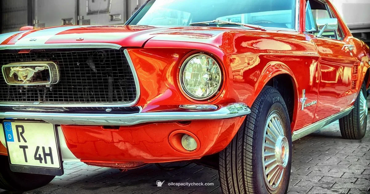 Oil Capacity Insight - Oil Capacity Check