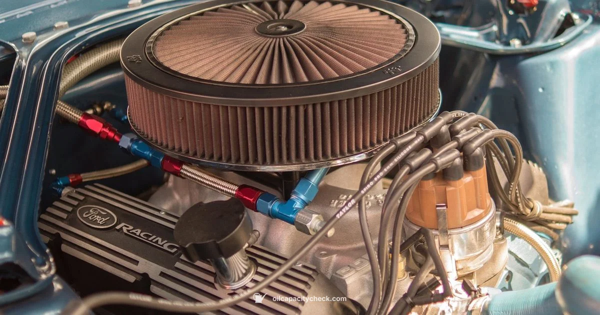 Oil Change Guide - Oil Capacity Check