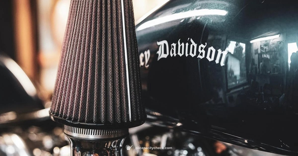 Harley Capacity Guide - Oil Capacity Check