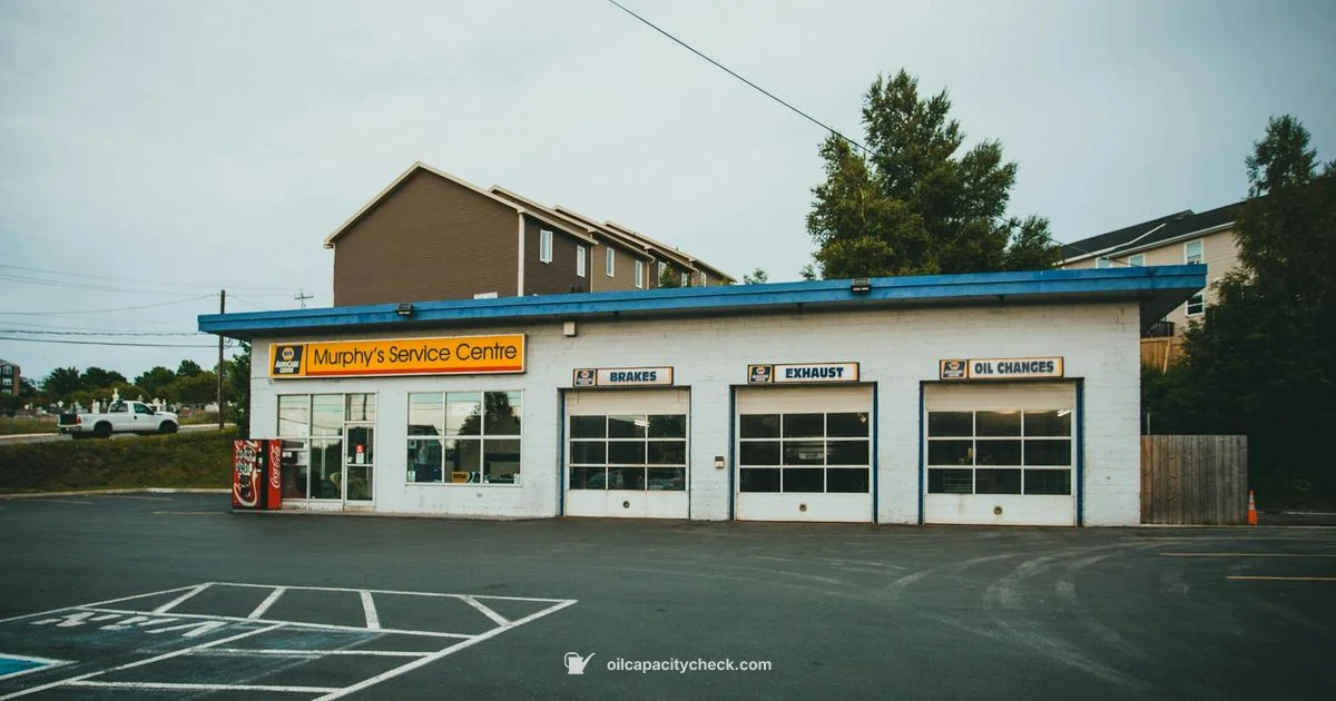 Oil Change Process Oil Change Process - Oil Capacity Check