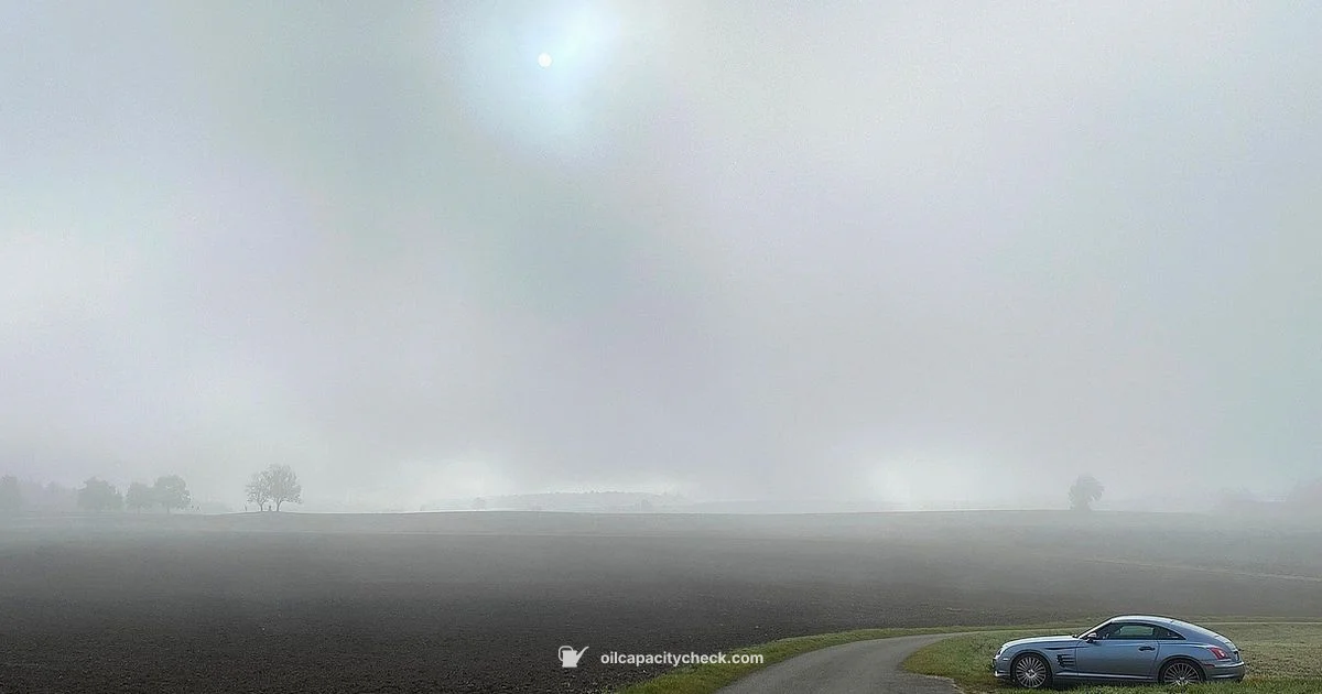 Oil Capacity Guide - Oil Capacity Check