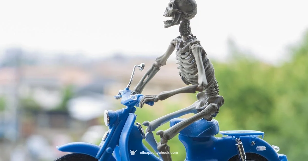 Oil Capacity Basics - Oil Capacity Check