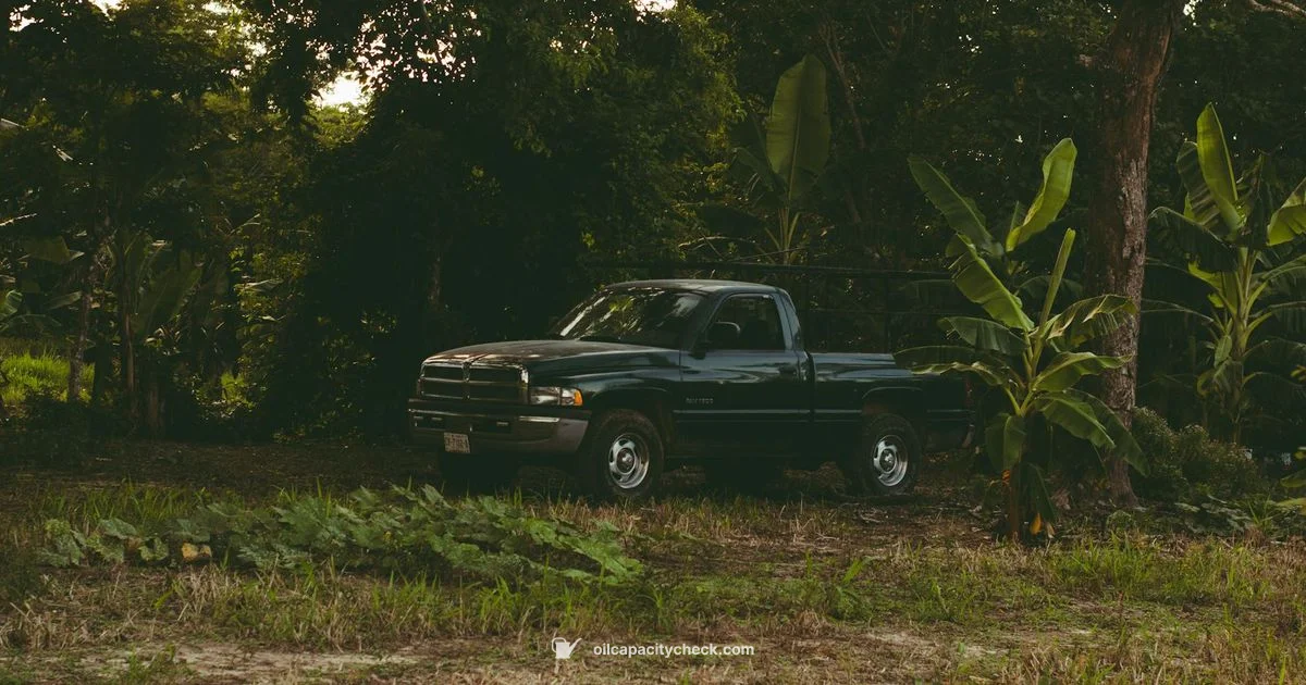 Oil Capacity Guide - Oil Capacity Check