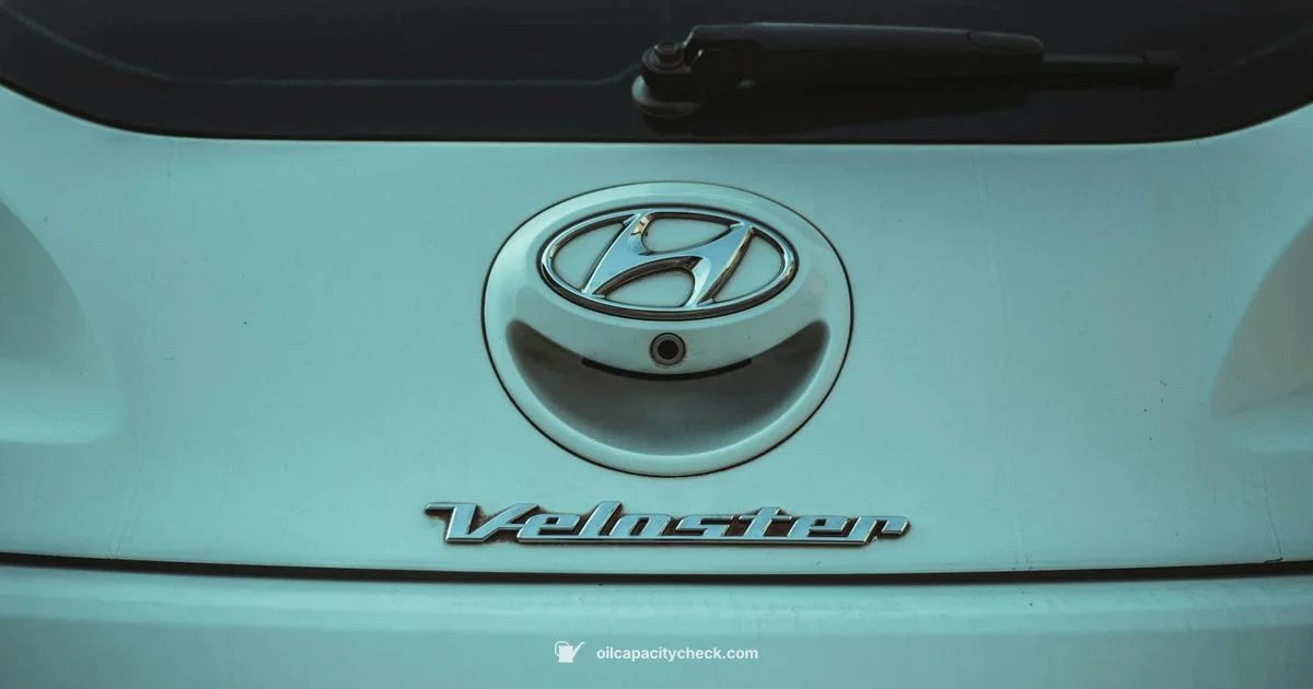 Veloster Oil Capacity - Oil Capacity Check