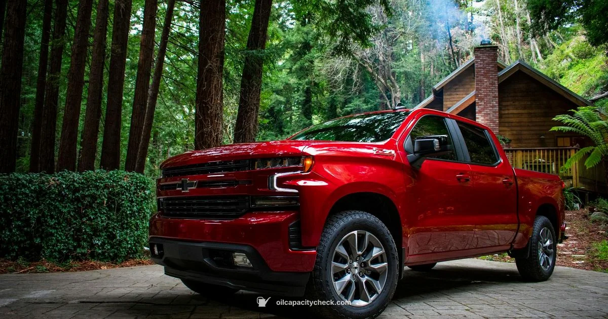 Oil Capacity Insight Oil Capacity Insight - Oil Capacity Check