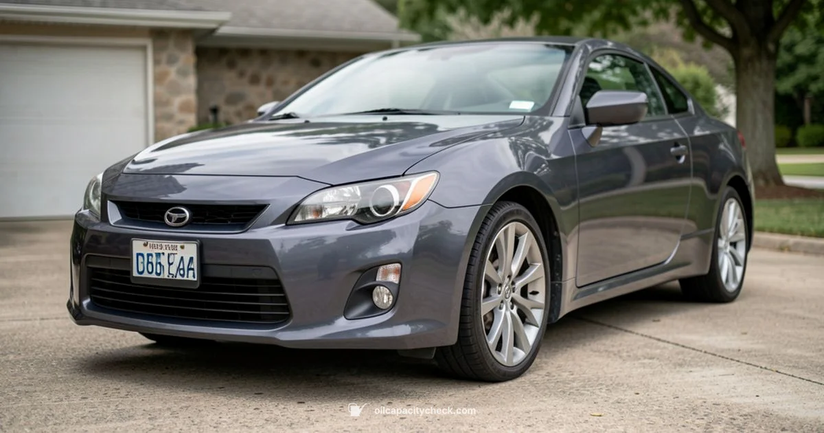 Oil Capacity Basics - Oil Capacity Check