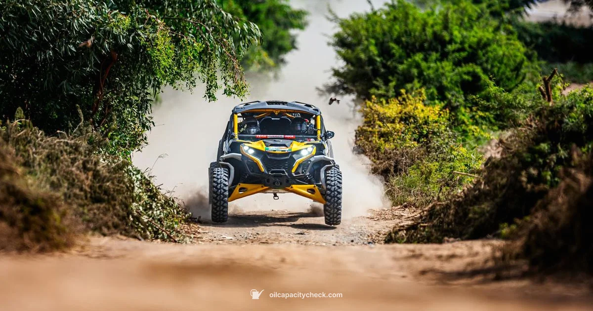 Outlander Oil Capacity - Oil Capacity Check