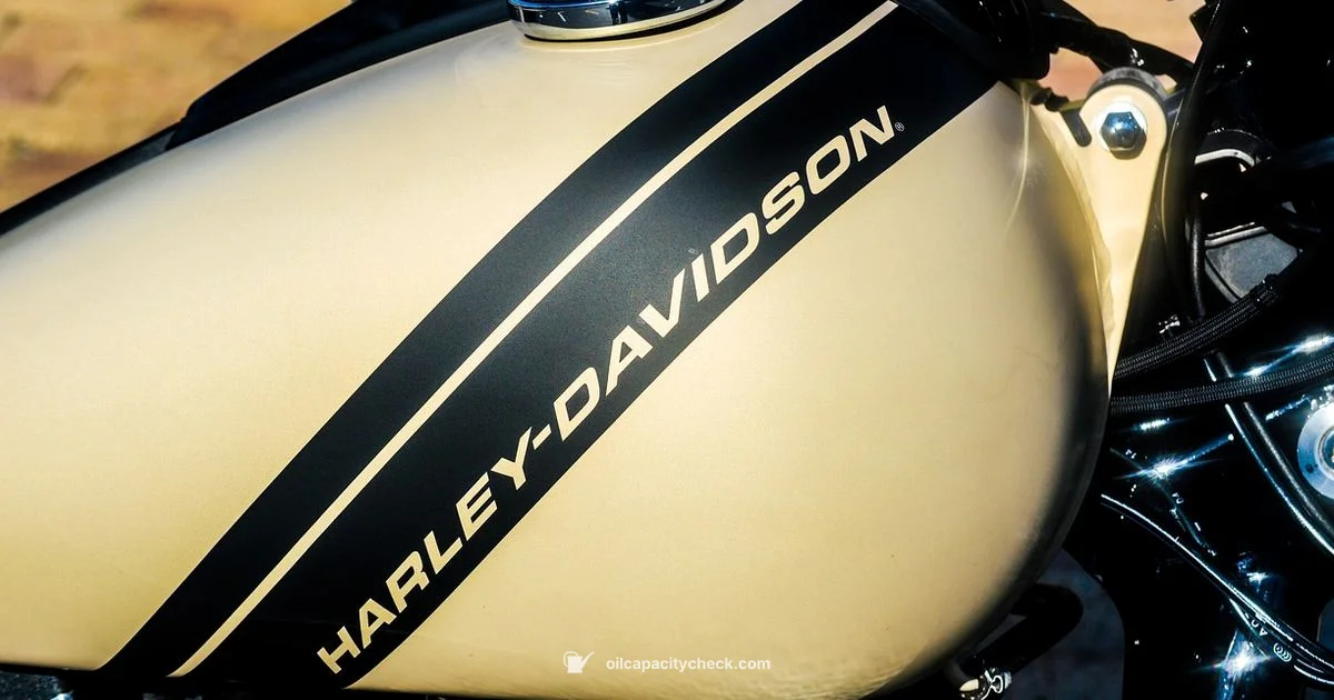 Harley 103 Oil Capacity - Oil Capacity Check