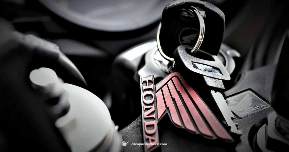 Odyssey Oil Capacity - Oil Capacity Check