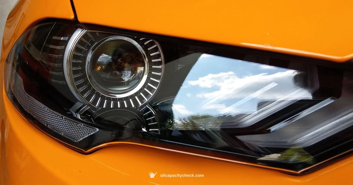 Oil Capacity Guide Oil Capacity Guide - Oil Capacity Check