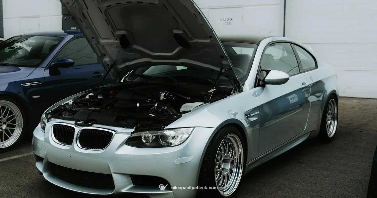 Oil Capacity Basics Oil Capacity Basics - Oil Capacity Check