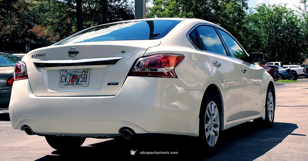 Altima Oil Filter - Oil Capacity Check