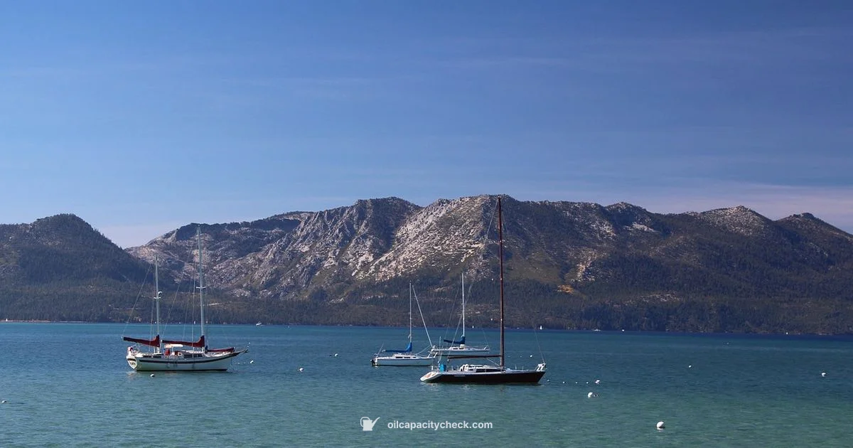 Oil Capacity - Oil Capacity Check