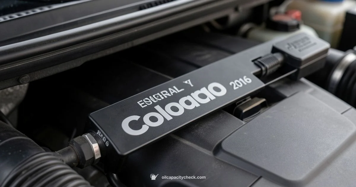 Oil Capacity Snapshot Oil Capacity Snapshot - Oil Capacity Check