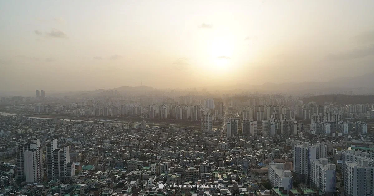 Palisade Oil Guide - Oil Capacity Check