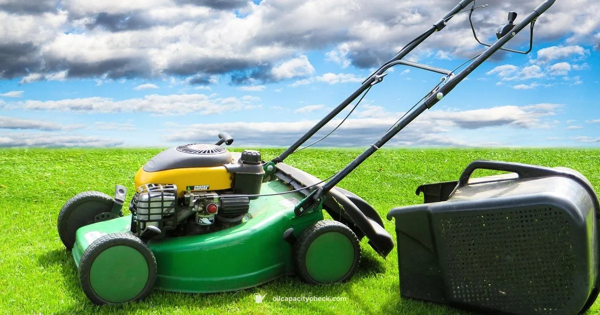 Oil Capacity Guide - Oil Capacity Check