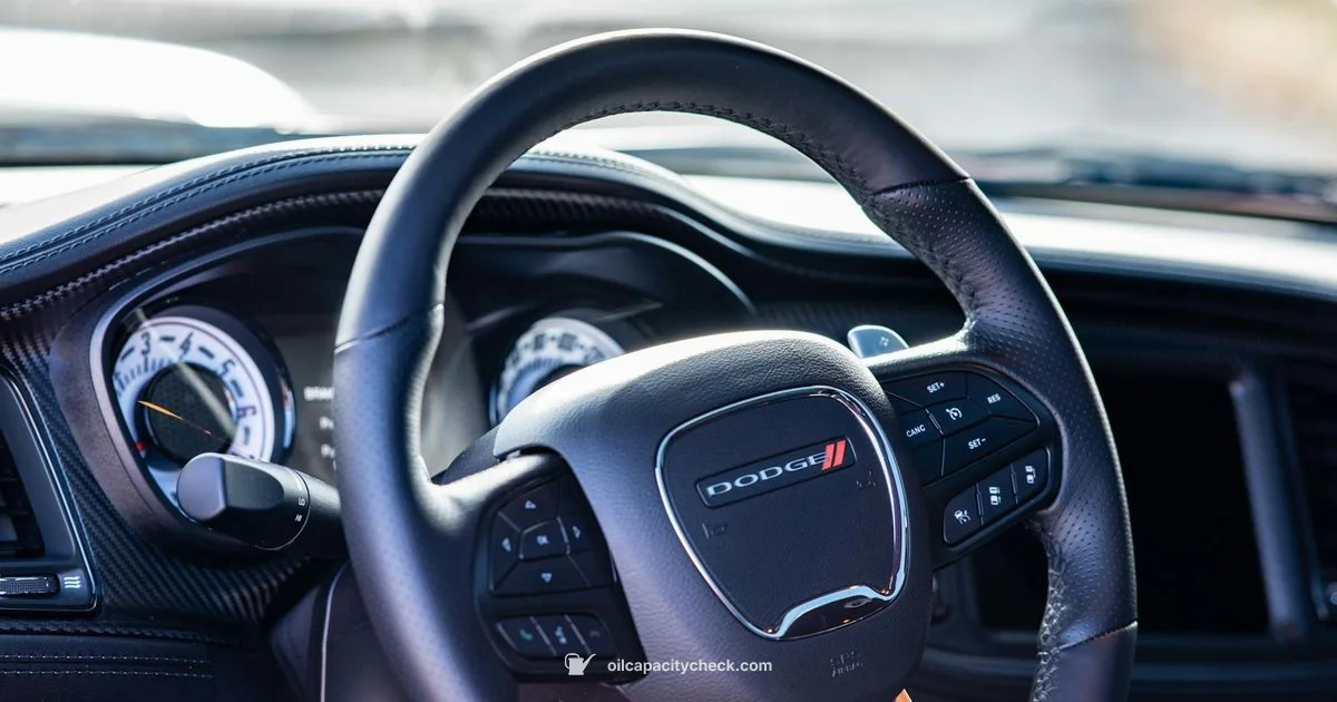 Oil Light Reset - Oil Capacity Check