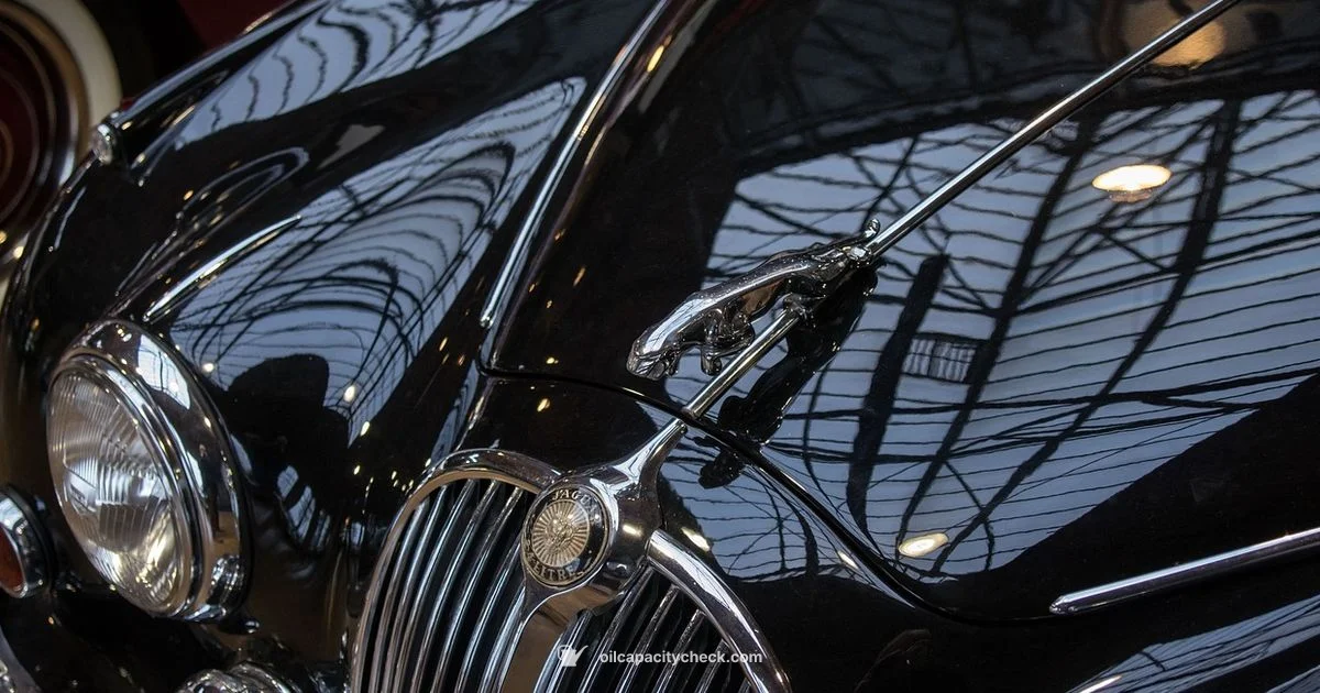 900 Ace Oil Capacity - Oil Capacity Check