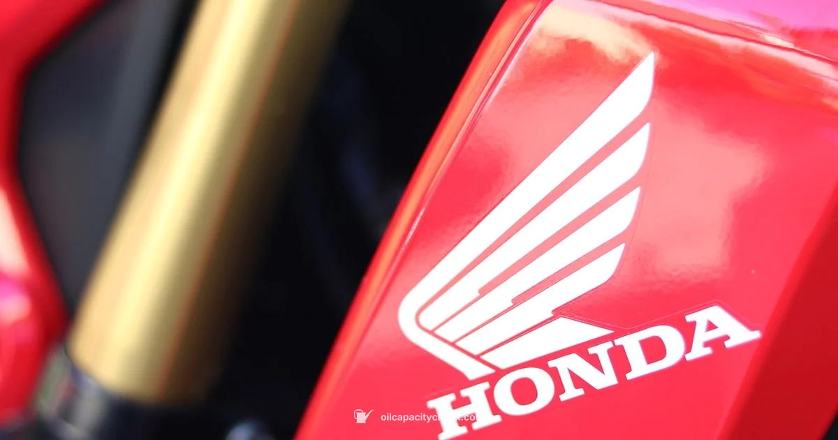 Fork Oil Capacity - Oil Capacity Check