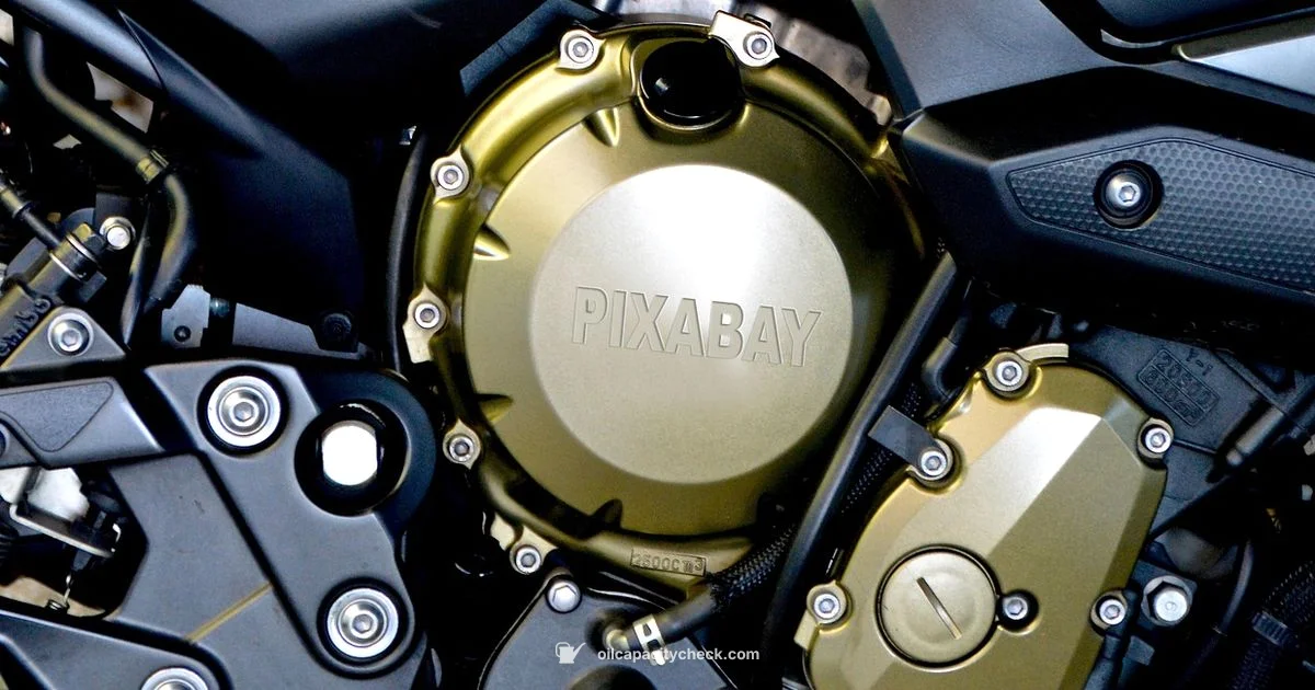 Raptor 660 Oil Cap - Oil Capacity Check