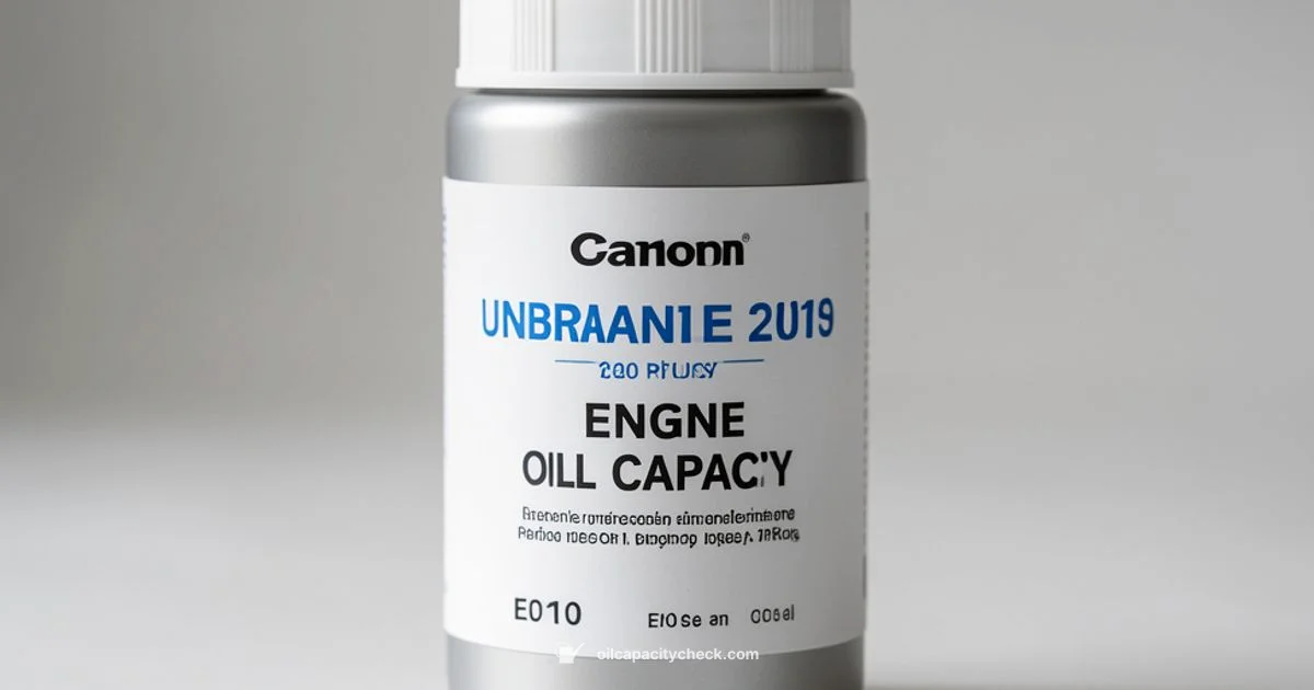 2010 Prius Oil Capacity - Oil Capacity Check