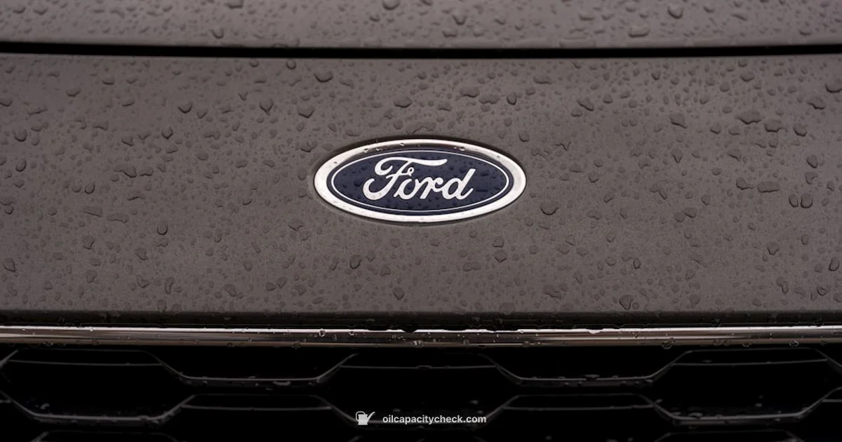 Oil Capacity Guide - Oil Capacity Check