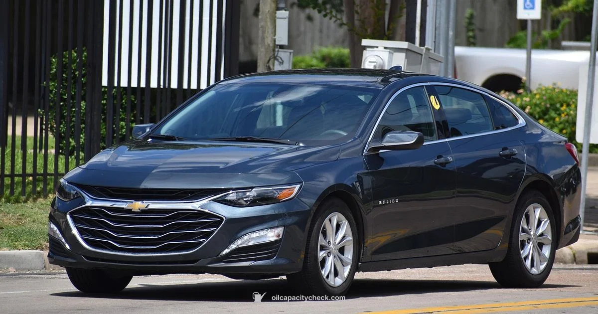 Transmission Capacity Check - Oil Capacity Check